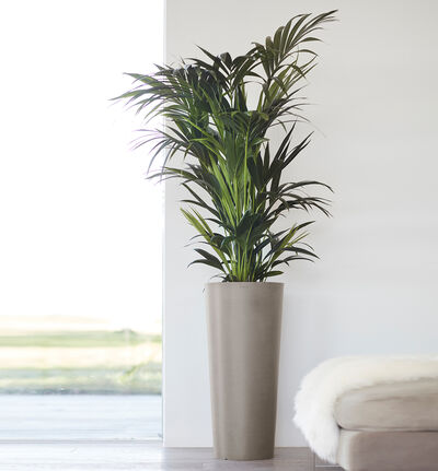 Ecopots Amsterdam høy gråbrun H76 cm Ecopots Amsterdam høy gråbrun H76 cm